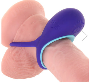 Two ring cock ring