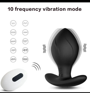 Pleassure Plugs